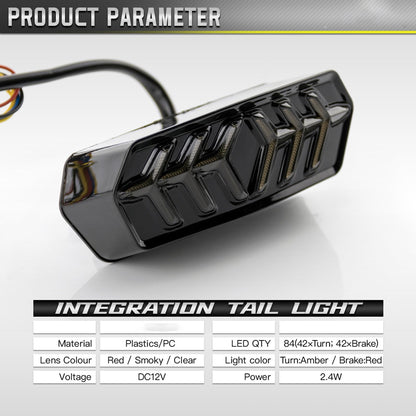 Luz trasera LED integrada para motocicleta